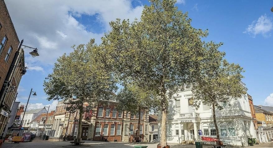 Electrician in Basingstoke – Common Electrical Issues We Fix in Local Homes