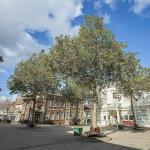 Electrician in Basingstoke – Common Electrical Issues We Fix in Local Homes